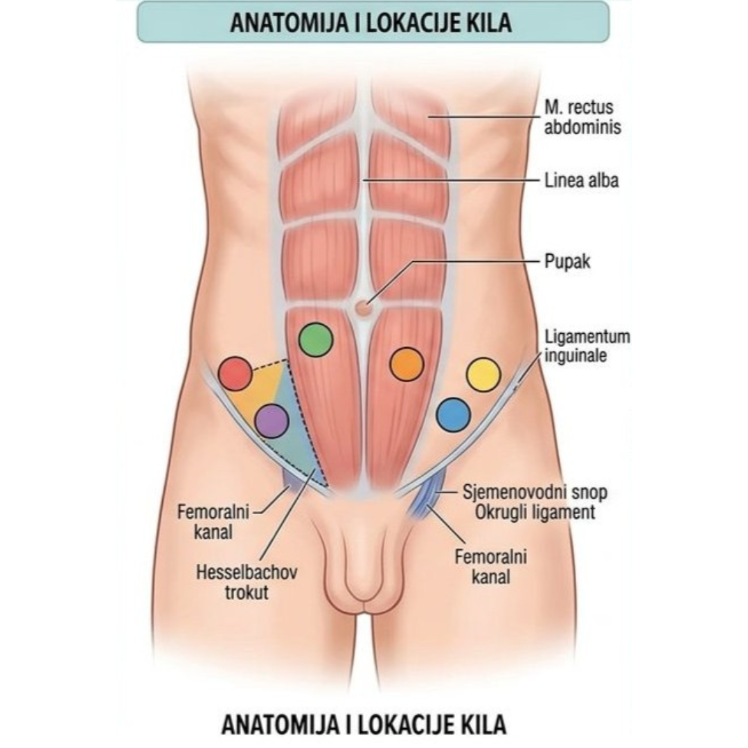 stock-abdominalna