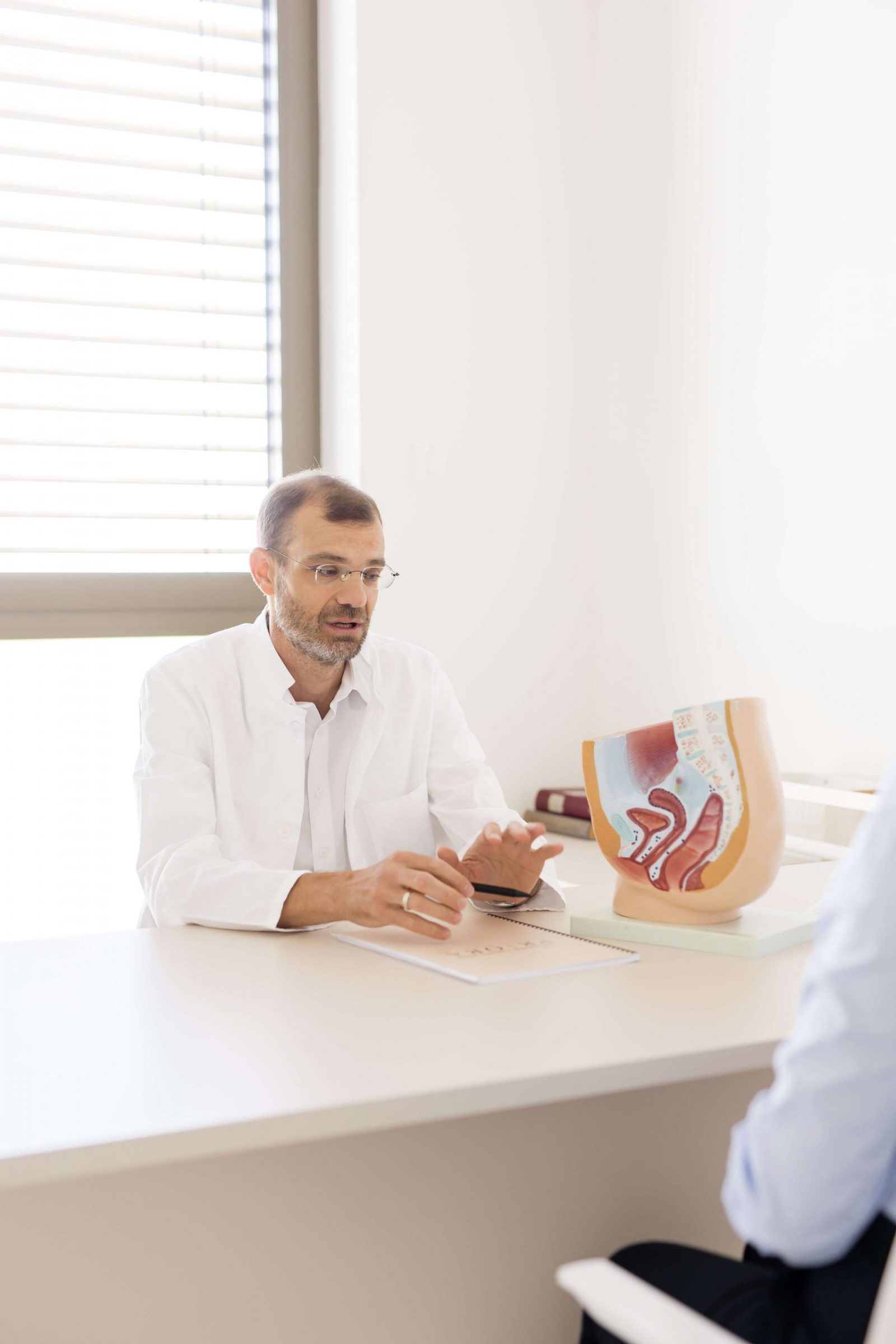 Liječnik u bijeloj kuti razgovara s pacijentom za stolom, pokazujući anatomski model zdjelice i reproduktivnih organa u svijetloj ordinaciji.