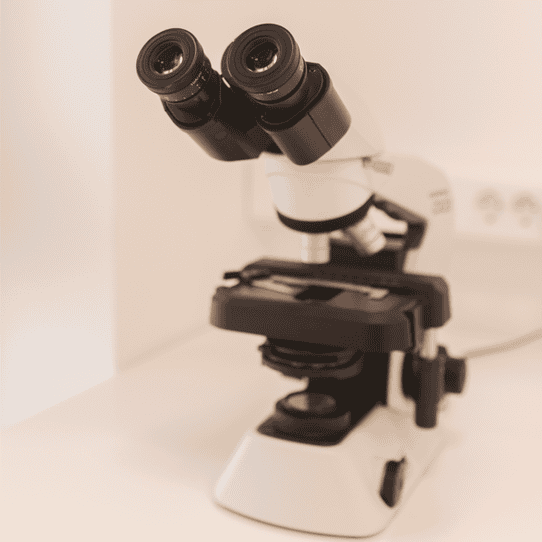 Binokularni laboratorijski mikroskop na bijelom radnom stolu, s vidljivim okularima, stolom i fokusnim kotačićima.