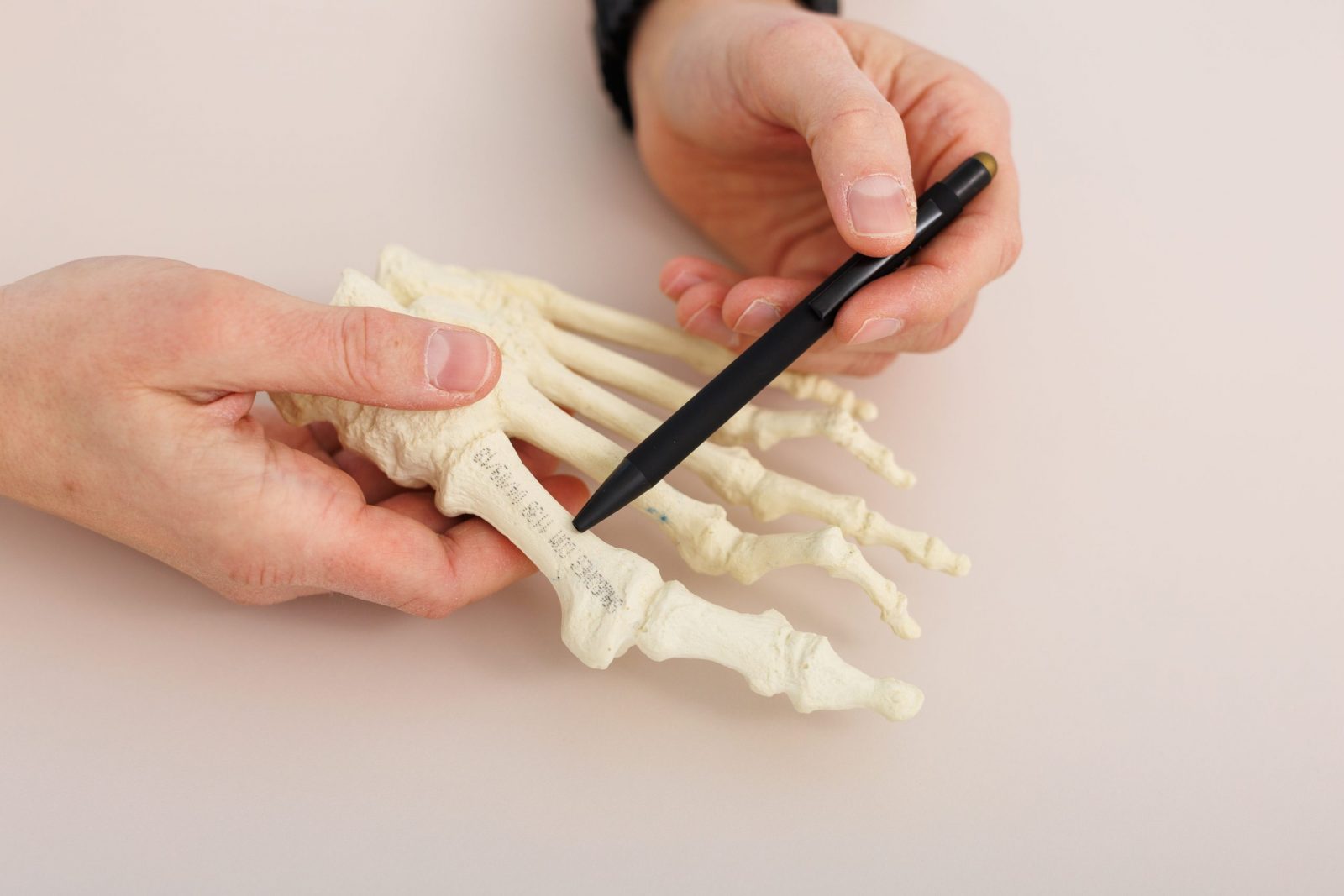 Ruke drže anatomski model kostiju stopala dok olovka pokazuje na određenu kost.